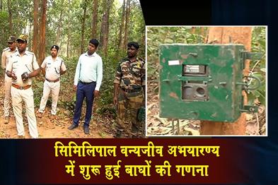 Khabar East:Tiger-Census-Begins-At-Similipal-Wildlife-Sanctuary