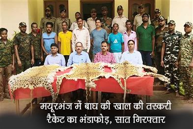 Khabar East:Tiger-Skin-Trafficking-Racket-Busted-In-Mayurbhanj-7-Arrested