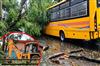 Khabar East:Tree-falls-on-school-bus-major-accident-averted-thanks-to-drivers-quick-thinking