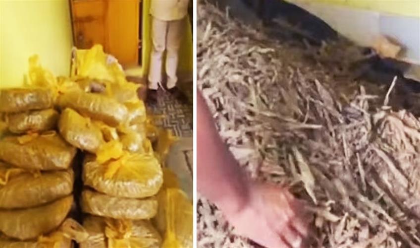 Khabar East:Two-Arrested-With-Around-1-Quintal-Ganja-In-Puri