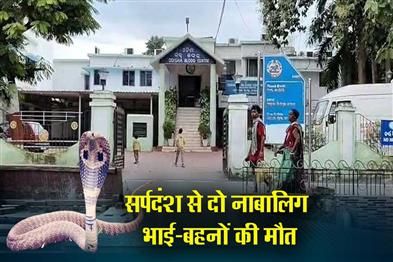 Khabar East:Two-Minor-Siblings-Die-After-Snake-Bite-in-Sundargarh