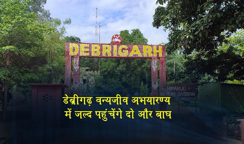 Khabar East:Two-More-Tigers-To-Arrive-Soon-At-Debrigarh-Wildlife