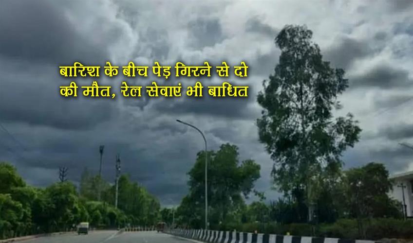 Khabar East:Two-died-due-to-falling-of-tree-during-rain-rail-services-also-disrupted