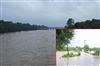 Khabar East:Water-level-of-Son-river-increased-high-alert-in-Palamu