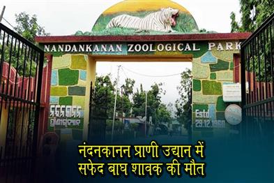 Khabar East:White-Tiger-Cub-Dies-At-Nandankanan-Zoological-Park