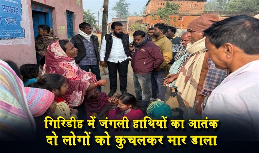 Khabar East:Wild-elephants-wreak-havoc-in-Giridih-crushing-two-people-to-death