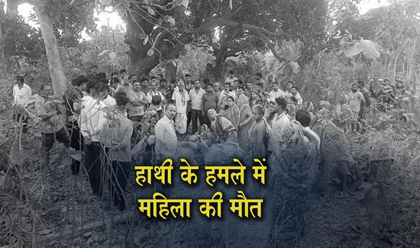 Khabar East:Woman-Killed-In-Elephant-Attack-In-Dhenkanal