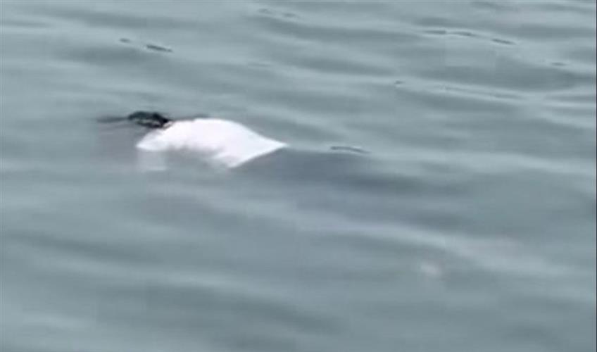 Khabar East:Young-Womans-Body-Recovered-from-Dhurwa-Dam-Police-Launch-Investigation