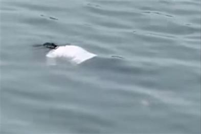 Khabar East:Young-Womans-Body-Recovered-from-Dhurwa-Dam-Police-Launch-Investigation