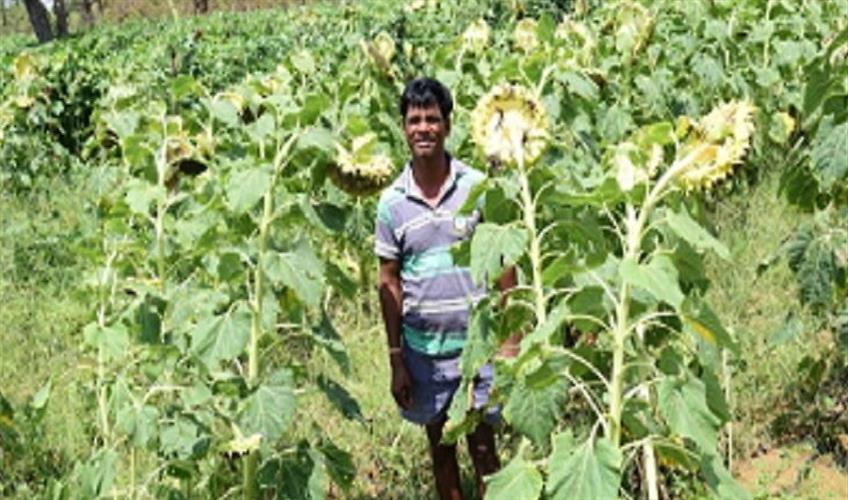 Khabar East:farmer-earns-rs-twenty-five-lakh-from-seed-production-business-all-you-need-to-know-abput-chhattisgarh-kissan-chanu-ram-from-kondagaon