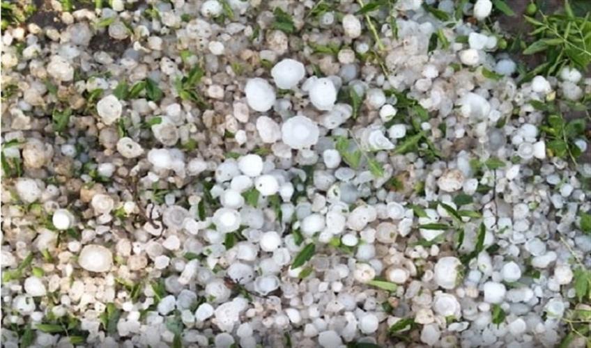 Khabar East:rain-in-raipur-chhattisgarh-weather-today-update-unexpected-rain-in-may-intense-rains-and-hailstorms-lashing-koriya-sukma-raipur